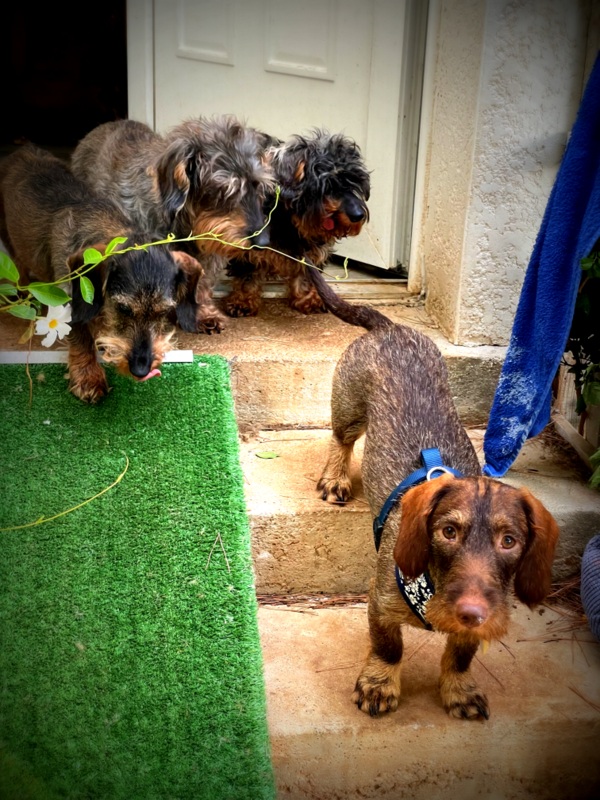 [Image: IMG-1868.jpg]