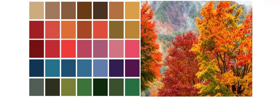Les couleurs de l'automne en colorimétrie sont teintées de rouge orangée et marron.