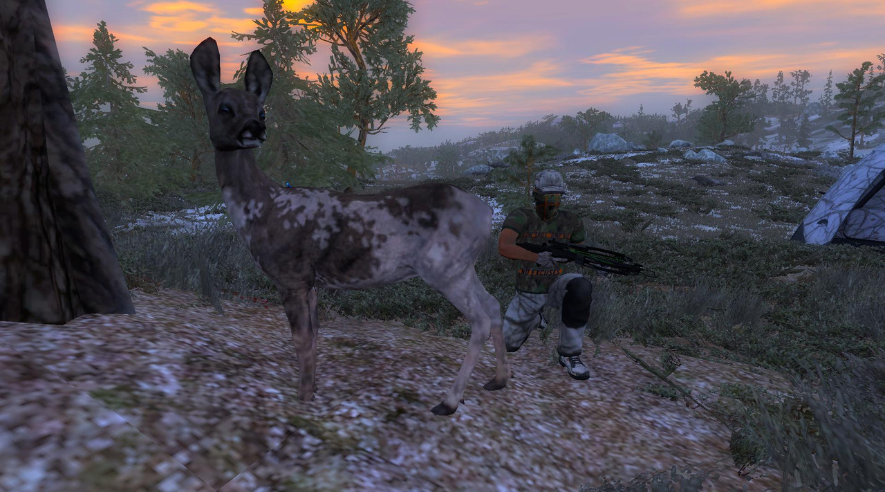 2024-12-20 2035 - Hemmeldal - Roe Deer (34.4)