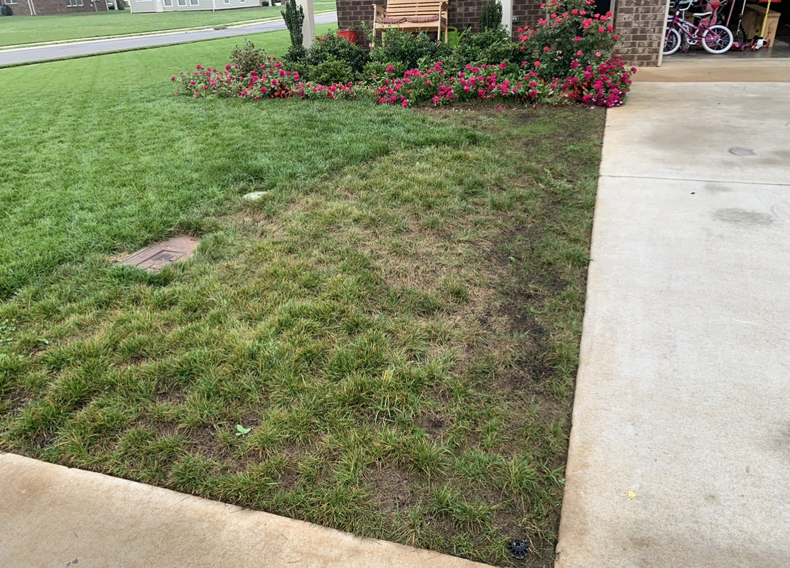 42607D6E-F9D6-454F-A0A4-6ED8706E0C4B