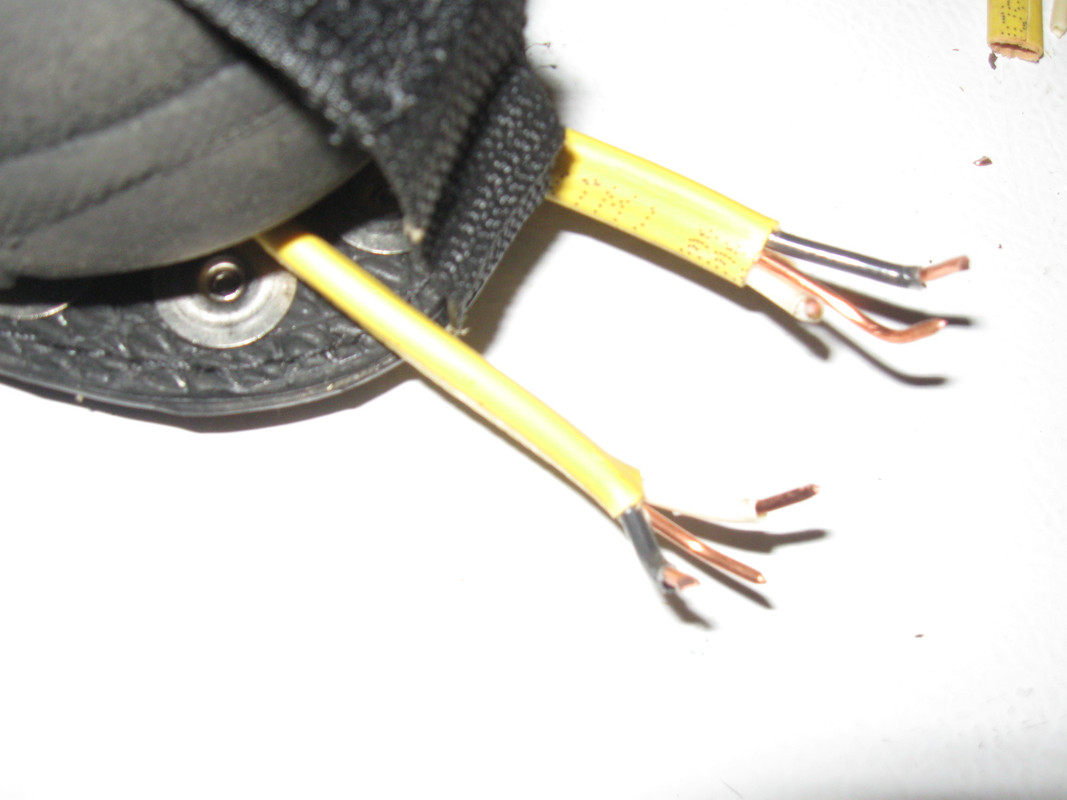 raptor crappie kicker