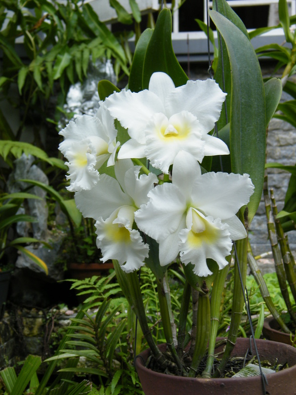 FBC2097E-8BD4-41DE-80D6-3CCE5BCE574B