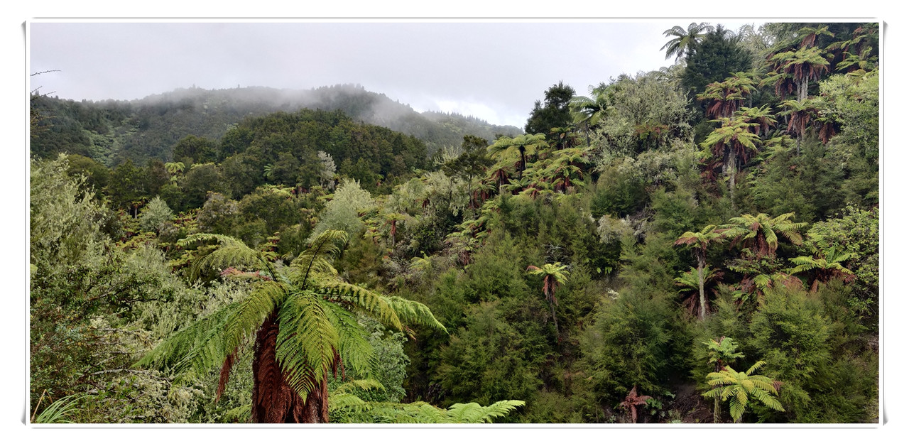 Cosas que hacer en Rotorua - Escapadas y rutas por la Nueva Zelanda menos conocida (37)