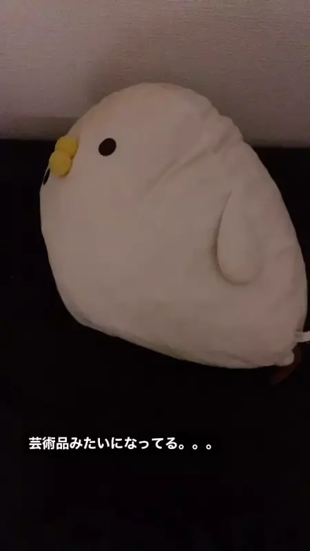 E746C1350C2758DDBBED6D32EDDA59B0_video_dashinit