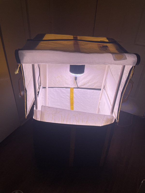 A2A4F4BC-C020-451A-8EF0-251F82248E09