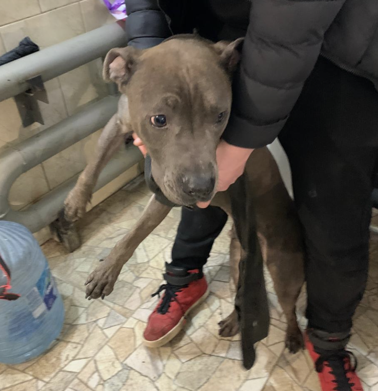 Снимок экрана 2025-03-06 в 12.27.06