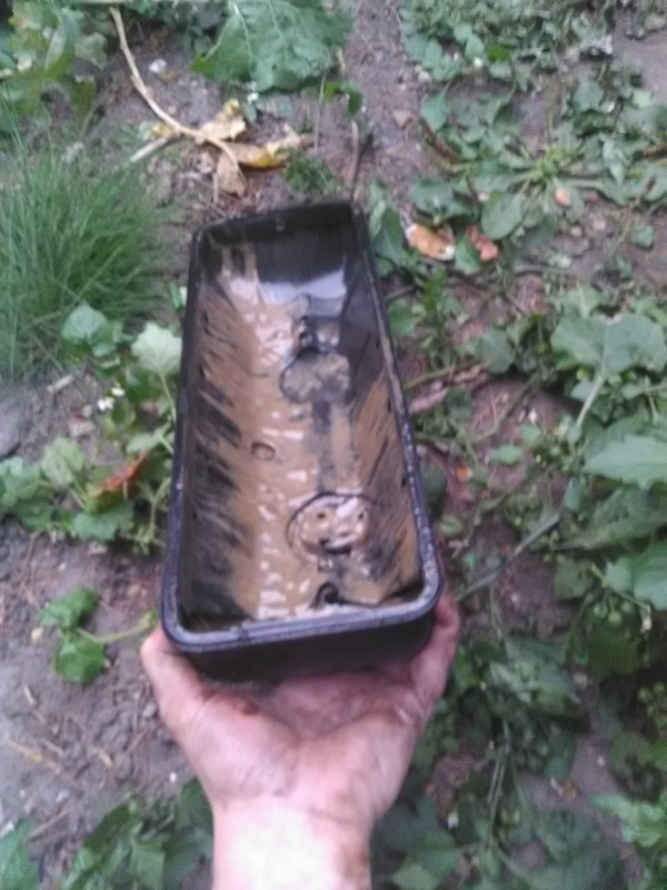 IMG_20161012_184134[1]