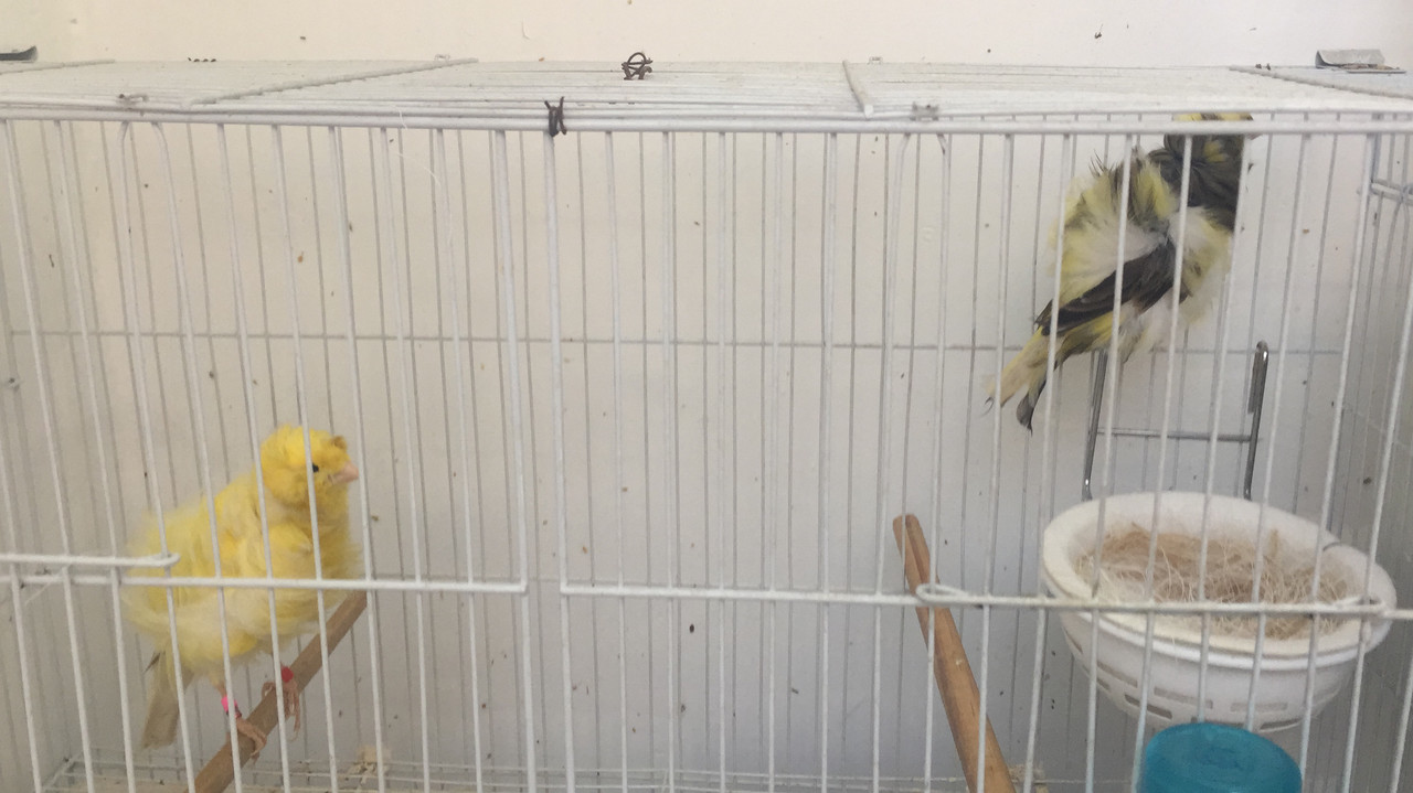 9E4BCD7D-AC46-4DAF-977E-4AF1F9C2233E