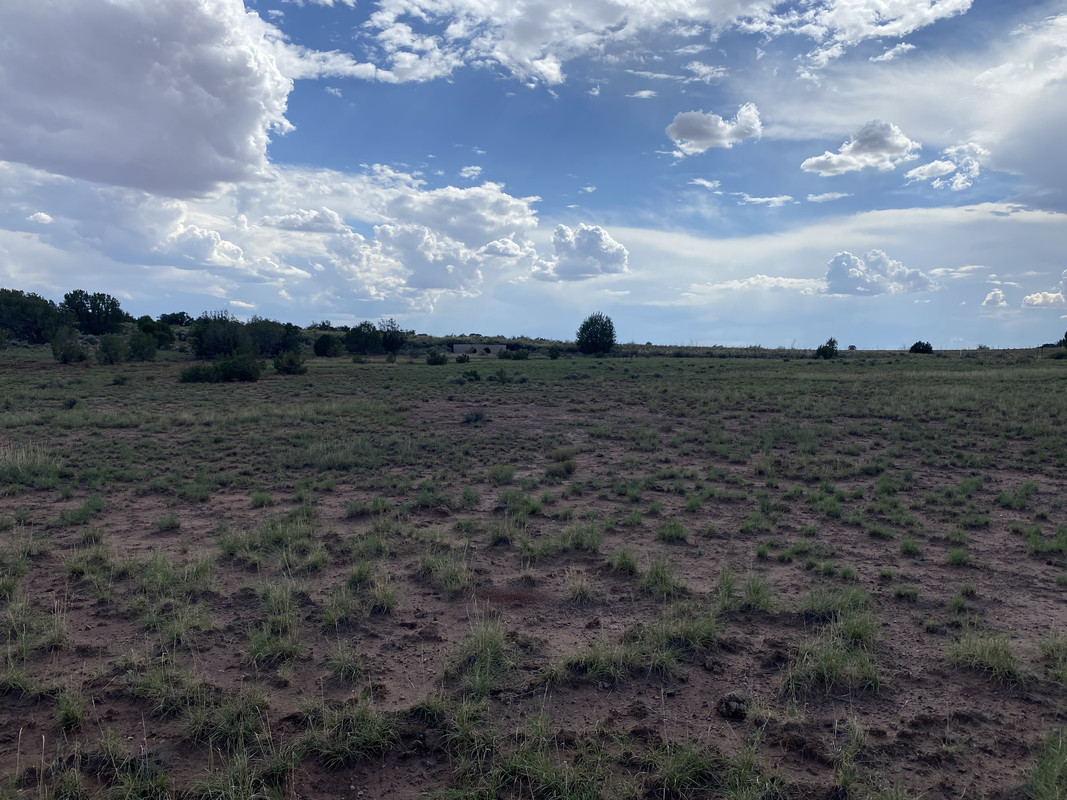 Unveil Your Dreams on 2.18 Acres: Prime Land in Green Valley Farms, Apache County, Arizona Awaits Your Vision!