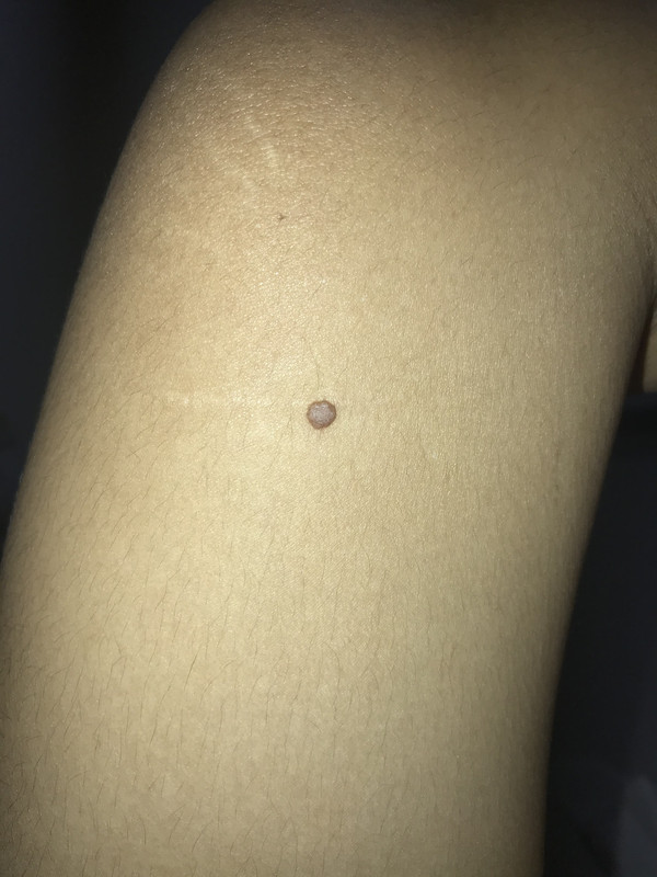 C7F4DA1A-B92F-4901-AA66-5EB985BE9C46