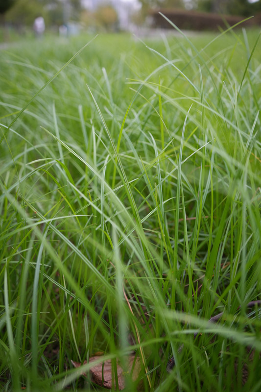 DSC04845