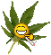 ganj.gif