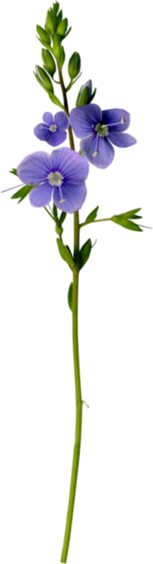 0_1c0e26_be3c6823_orig