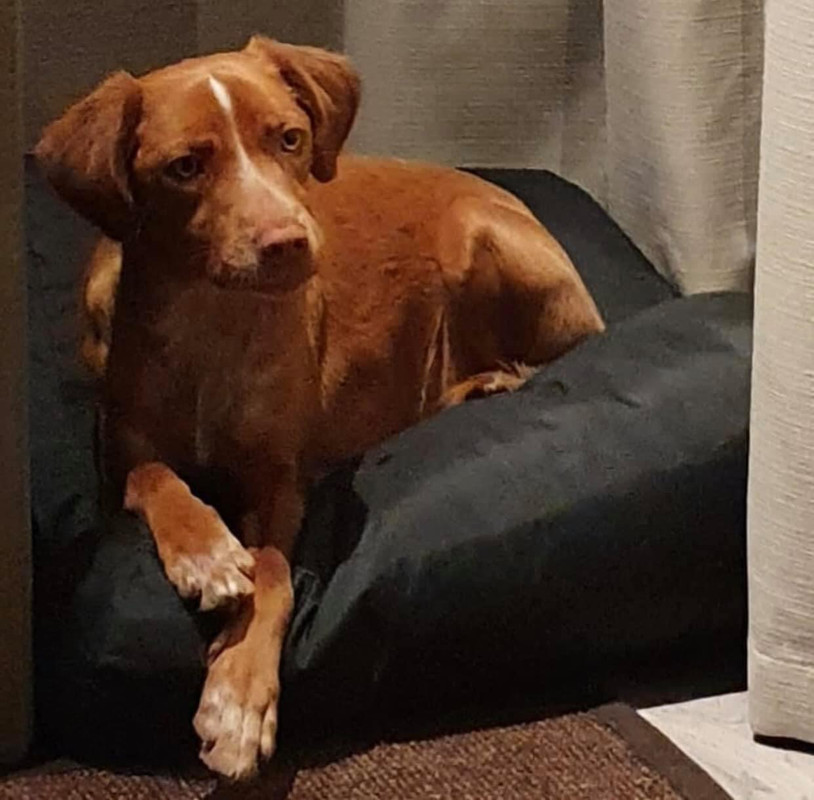 6CF65AF2-A8F3-41FA-BC41-BDAEF14E36D9