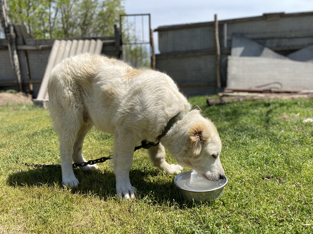 A80240D7-8A3E-4343-BF72-17A740281B87