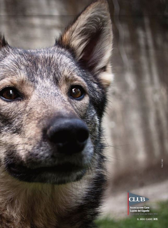 Il M C Ott 2021 (10)