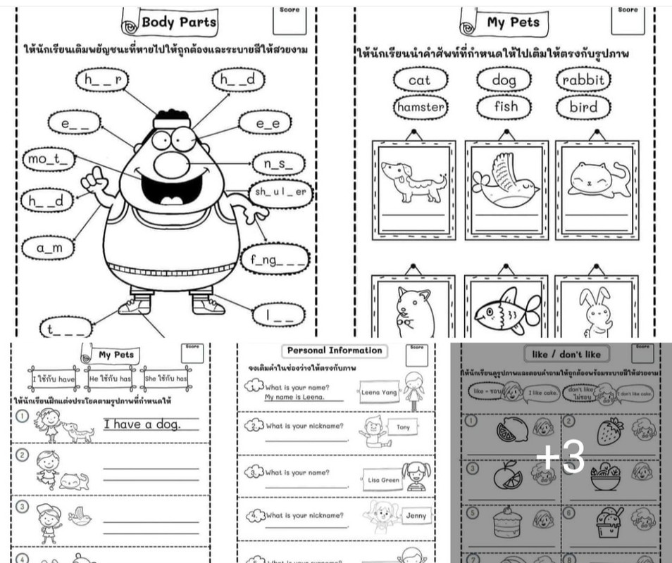 Download useful Worksheets  PDF or Ebook ePub For Free with | Oujda Library