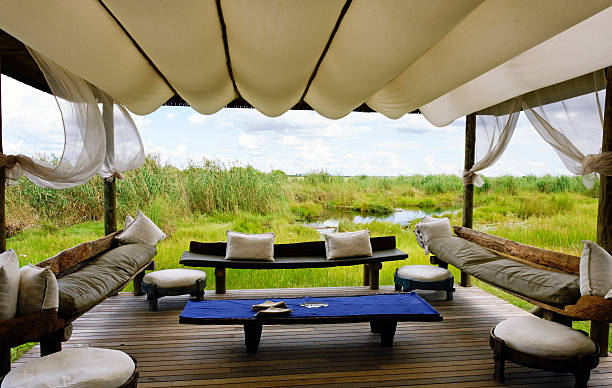African-safari-4.jpg