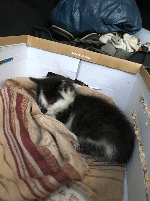 CCB51AC0-334F-474A-927C-CB24106E4B36