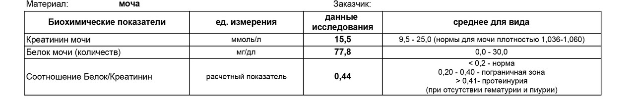 Повышение креатинина в моче