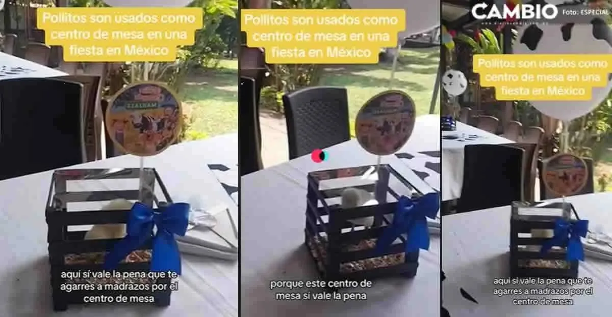 Indigna en redes sociales, una fiesta que ofrecía pollitos vivos como centro de mesa
