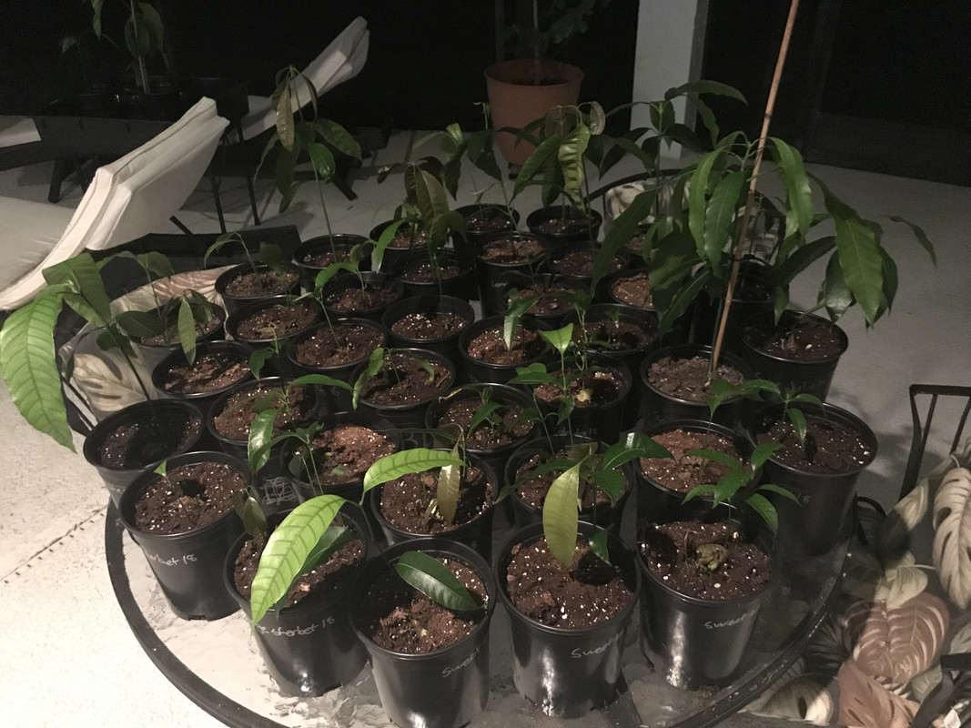 9AE5EDDC-71AC-4A60-B996-93E36E24F74E