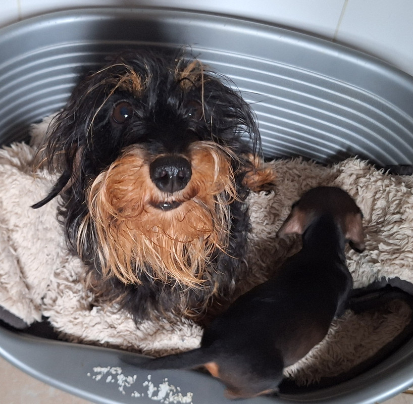 [Image: 20250527-200501.jpg]