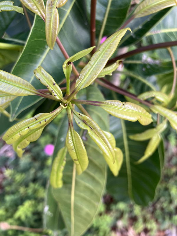 91D7084F-E414-490F-8634-32DB8F9D0D58