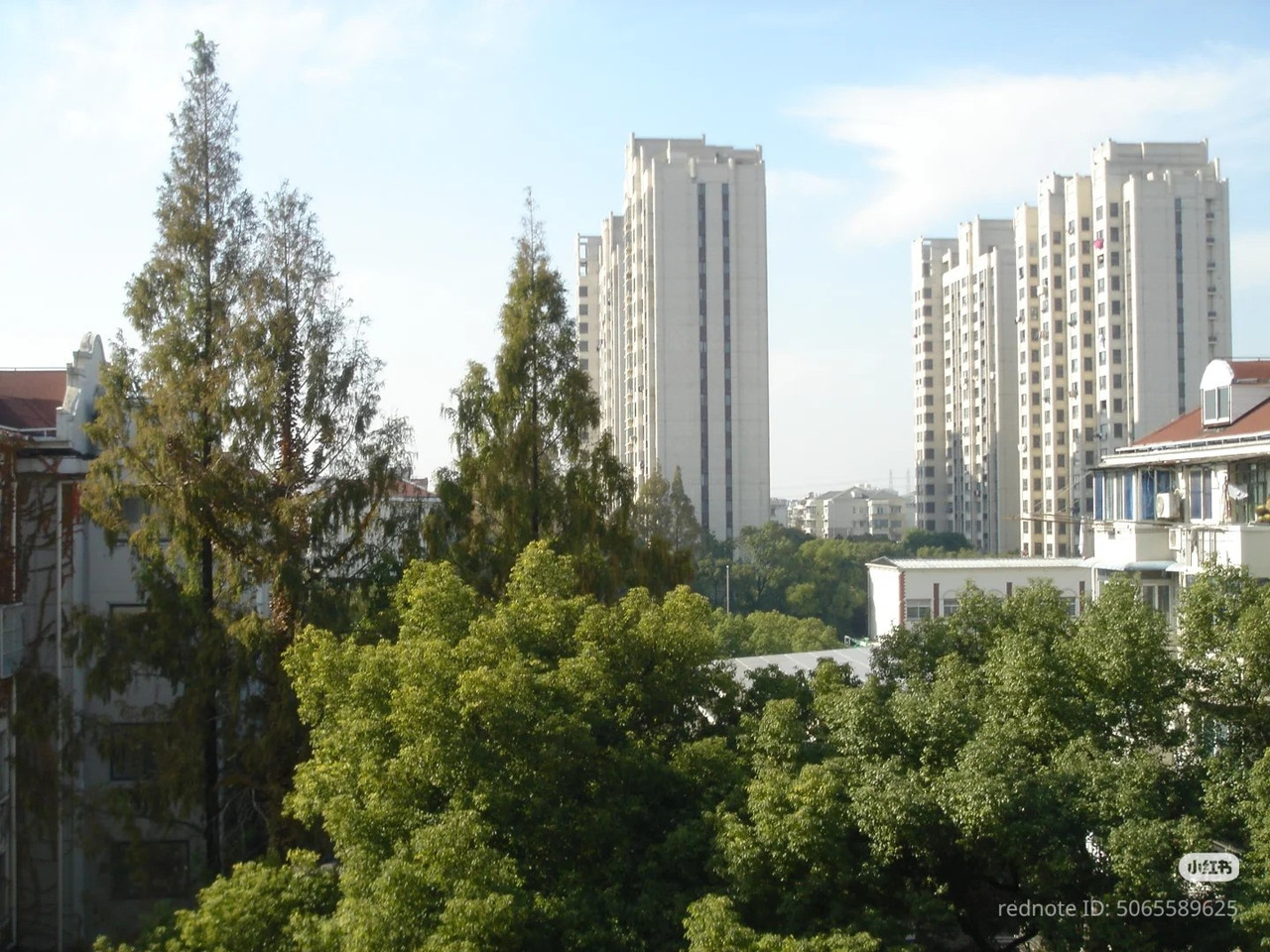 photo 19 2025 12 24 16 27 05