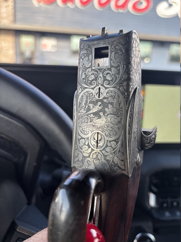 [Linked Image from i.postimg.cc]