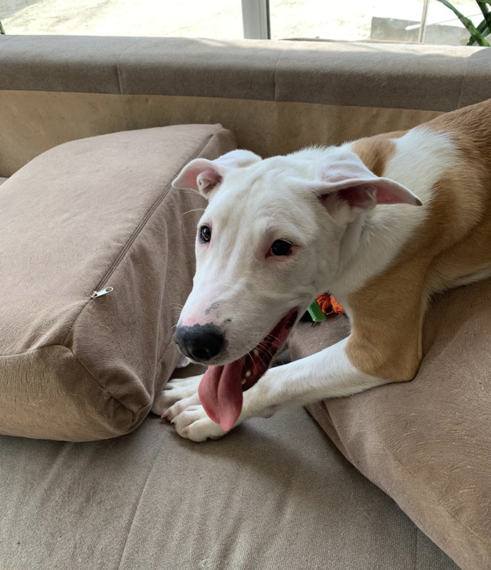 Снимок экрана 2024-04-21 в 18.23.37