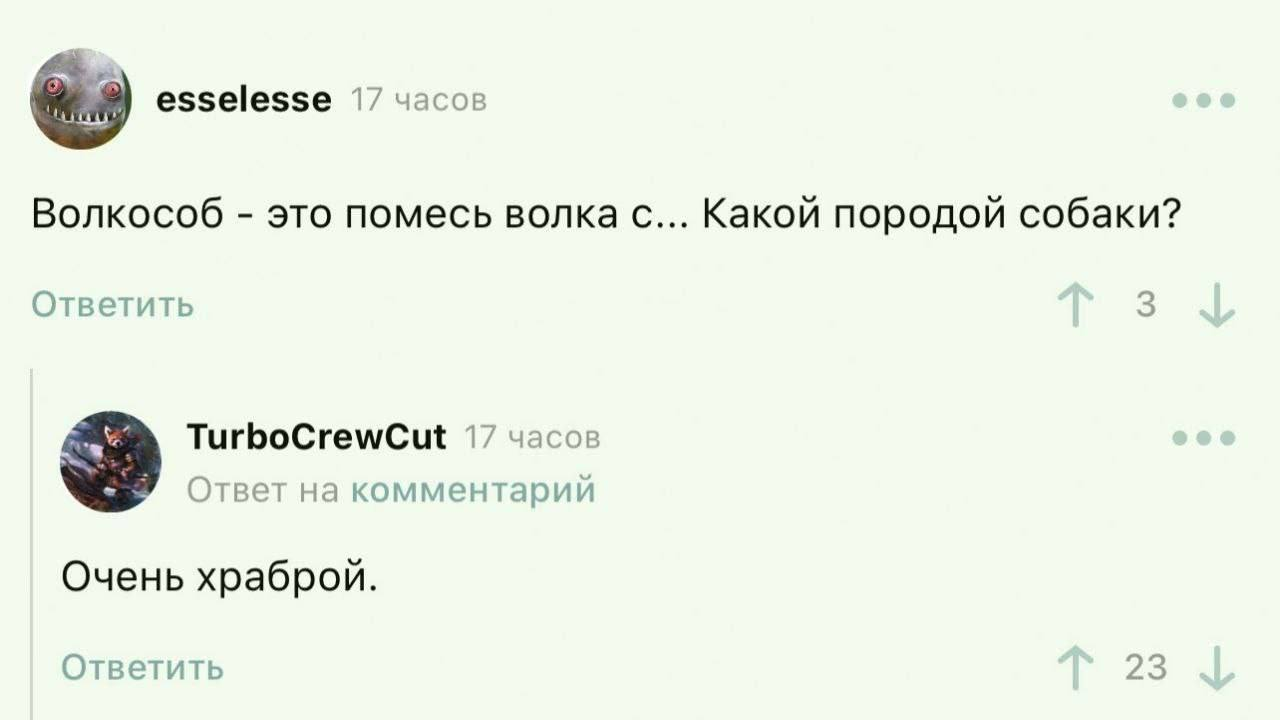 Blue polo t-shirt front back. т и мужского пола. парни жеребцы. т и мужского пола. влюбленные в поезде.