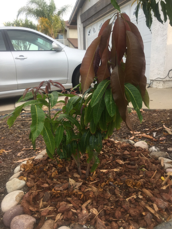 79CDD76A-B95B-427A-93F3-5E5A631F4CE1