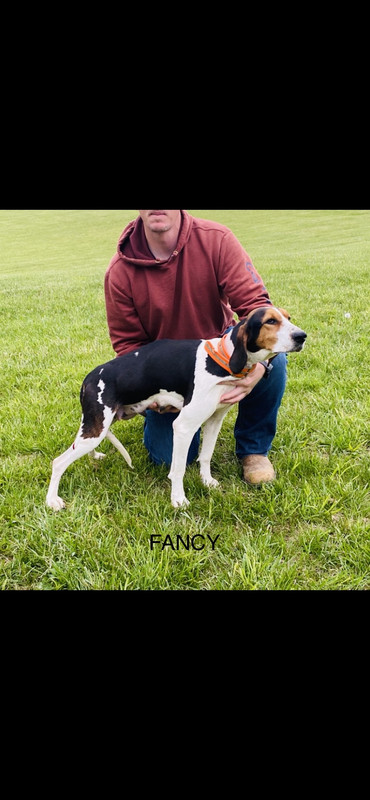 27BEEC77-5A2C-43E4-826F-43DC5A12C931