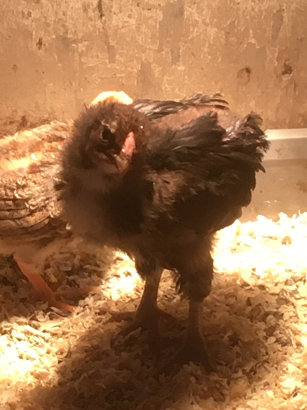 B7AB0E02-1F95-4B7D-BBD0-C7F78AD00847