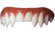 top row of sharp teeth
