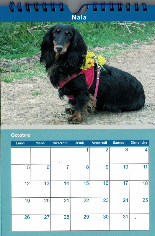 Numérisation_20250826 (6)