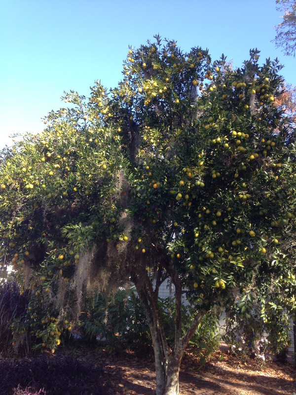 C5F40354-1A1B-4A11-8D22-BCA79D661FDD