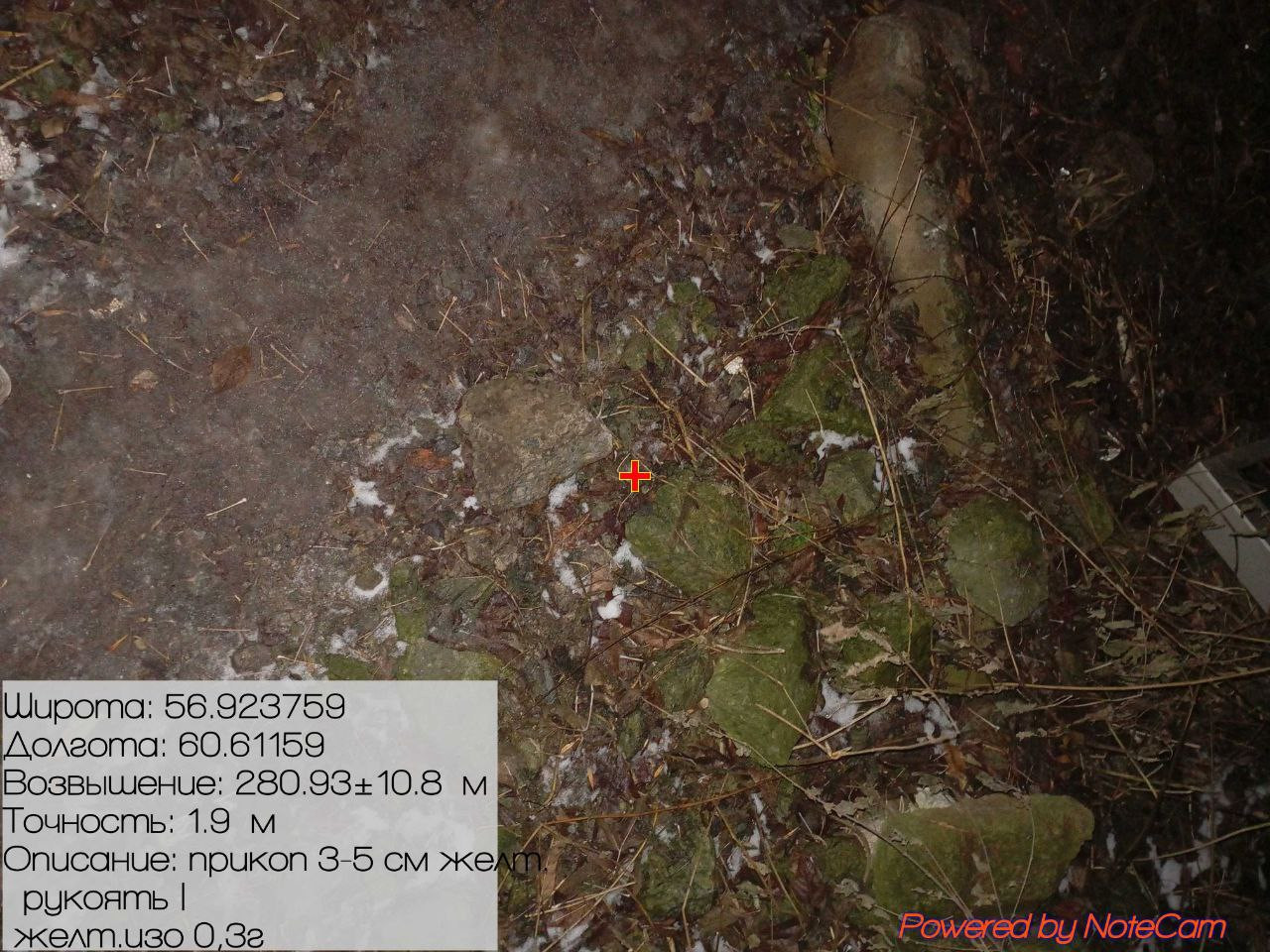 photo 4 2025 11 27 20 46 46