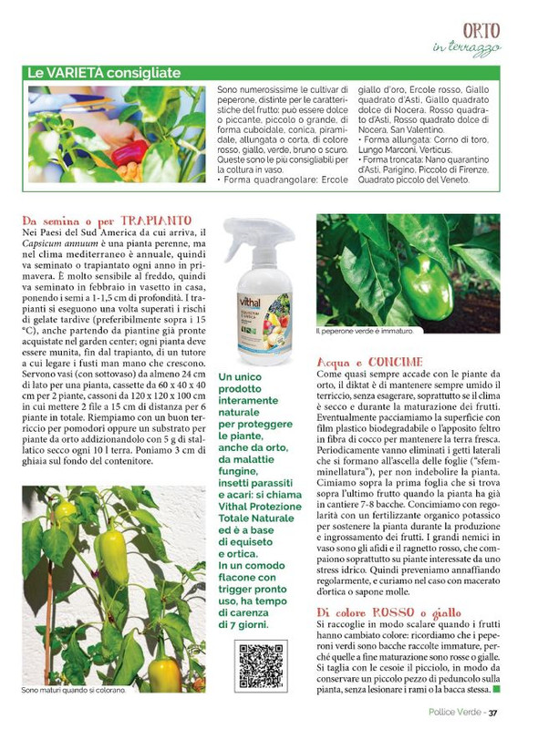 Pol Ver Mag 2023 (8)