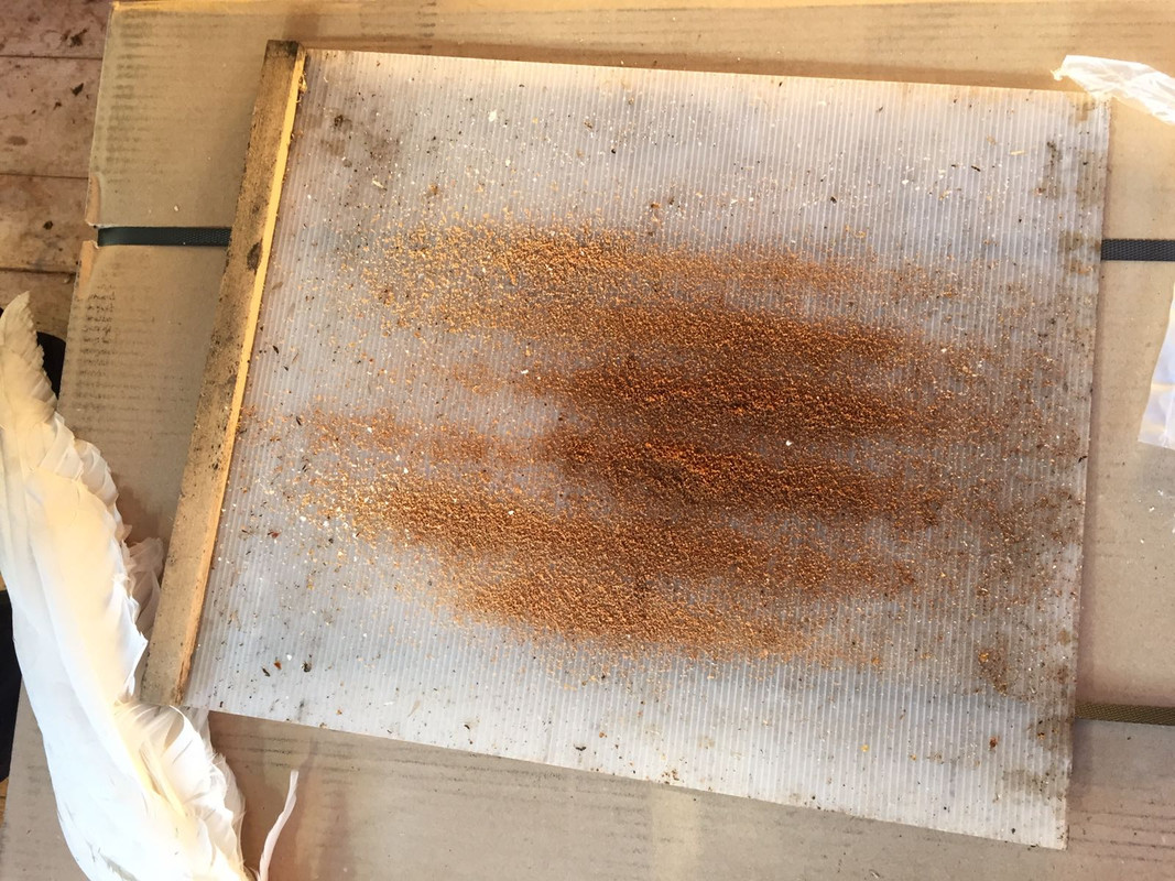 35A82EB9-E70A-43C4-88DB-BA7F1CEC0E87