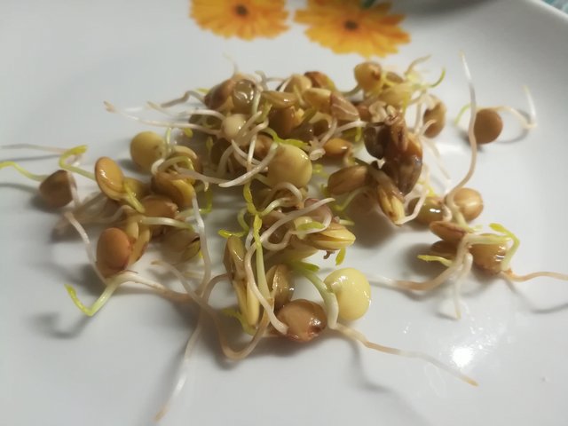 Kép