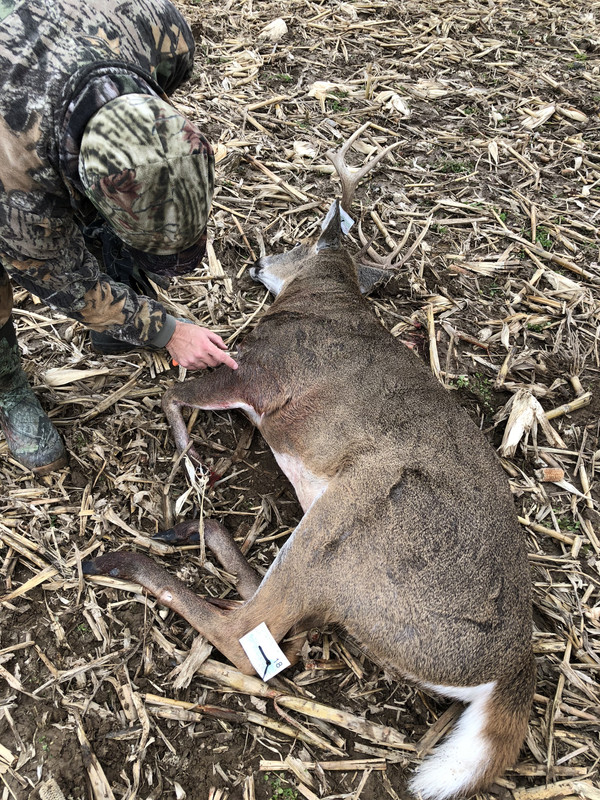 6461A78D-D231-452E-B7B6-894AB9559101