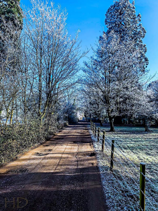 winter-lane-field-HD.jpg