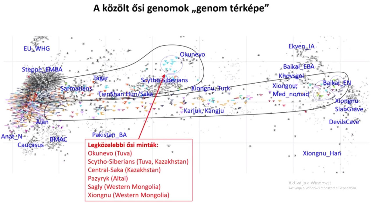 si-genomok-genom-t-rk-pe.jpg