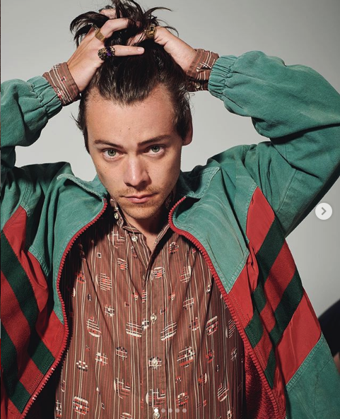 Screenshot_2020-02-04 Harry Styles HQ ( hshq) • Foto e video di 