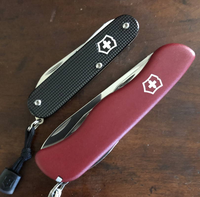 B4467273-6D1E-48DD-B8E6-EA90D4EC3B8D