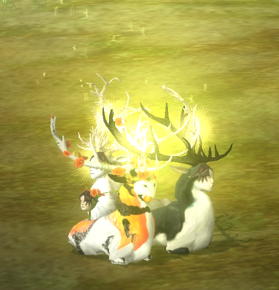 Screenshot-2026-05-12-012218