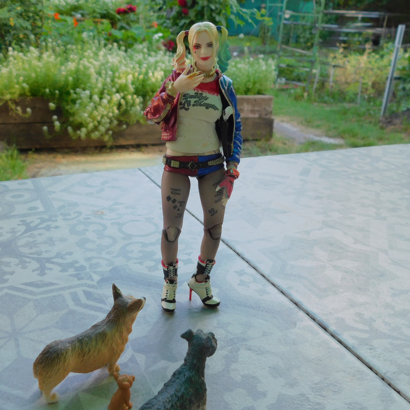 Дачно-Харлинский июнь-июль 2024 271