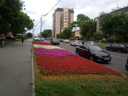 В Харькове обнаружили автомобиль, который не угнать (фото)